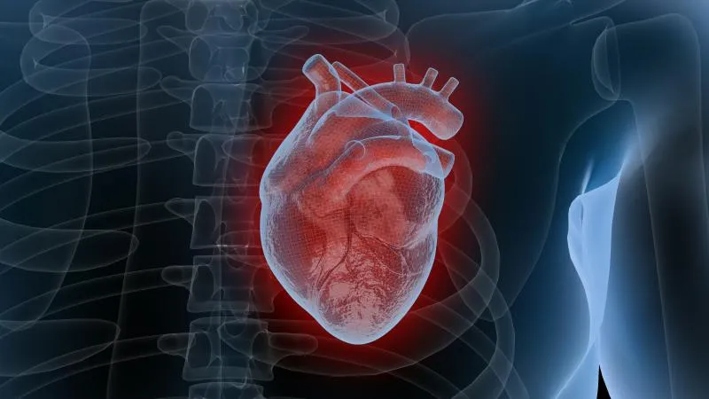 Aortic Valve Repair