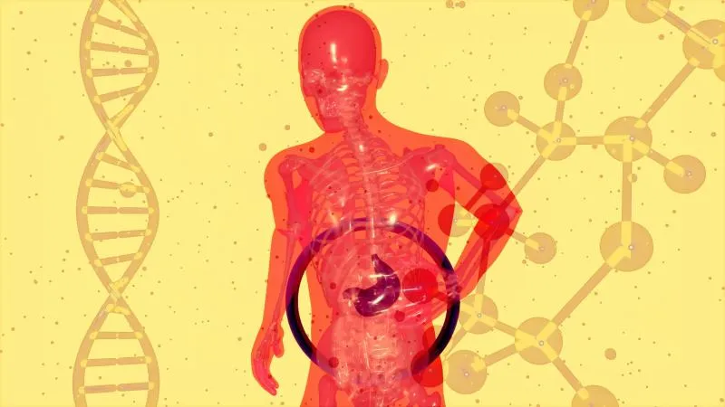 Liver Resection - Liver Surgery