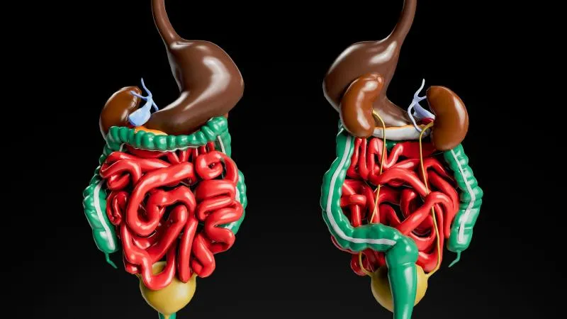 Whipple Surgery - Pancreaticoduodenectomy