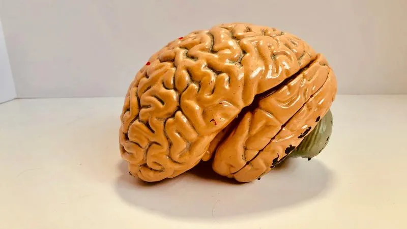 Pediatric Brain Surgery - Children's Brain Surgery