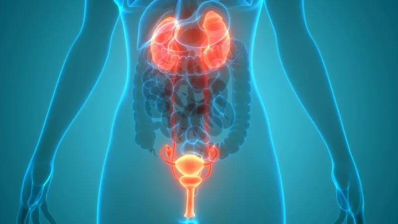 Prostate Cancer Surgery