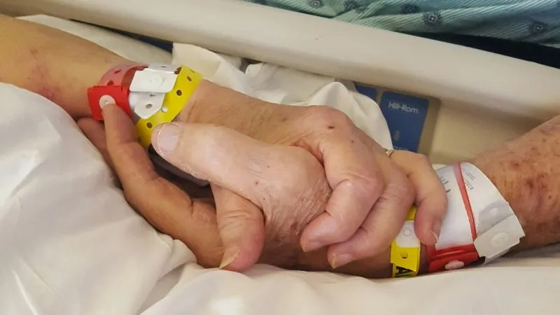 Bone Marrow Transplant For Aplastic Anemia