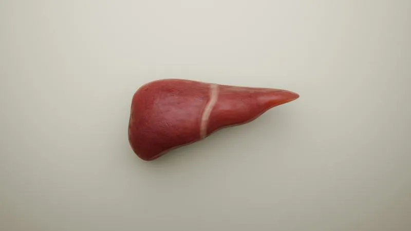 Liver Cirrhosis Treatment