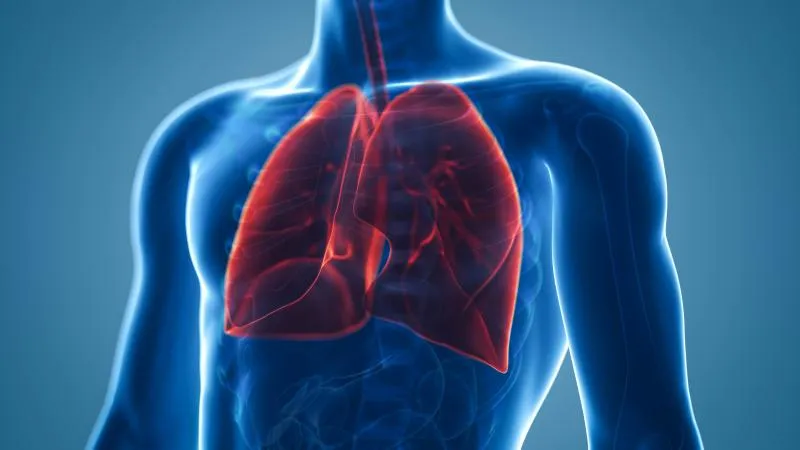Pulmonary Metastasectomy - Lung Metastasis Surgery