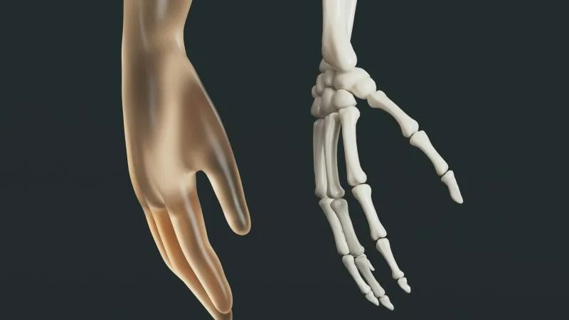 Bone Marrow Biopsy
