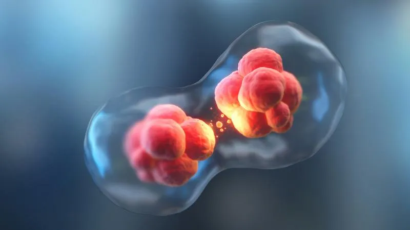 Bispecific Antibody Therapy