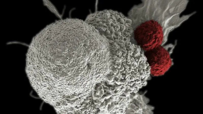 Targeted Cancer Therapy - Precision Cancer Treatment