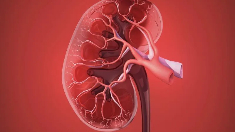 Kidney Transplant Surgery