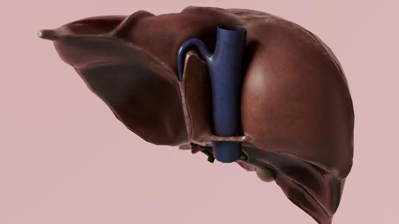 Liver Transplant For Biliary Atresia