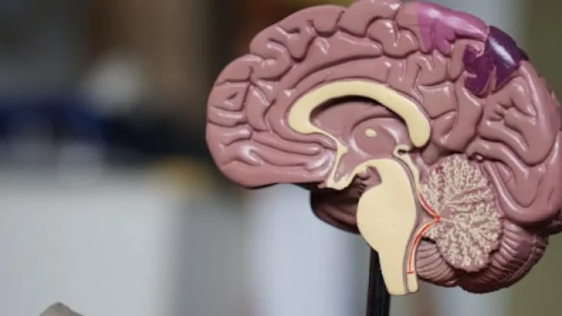 Neurosurgery Center