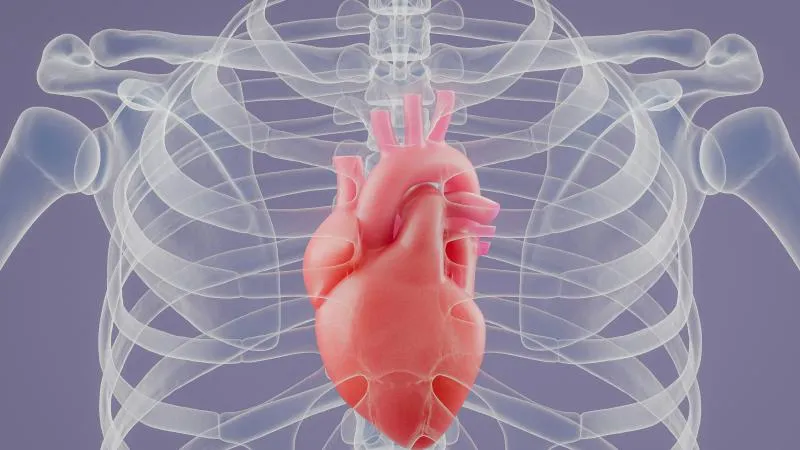Heart Valve Surgery