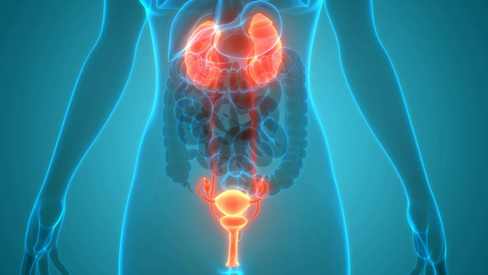 Prostate Cancer Surgery