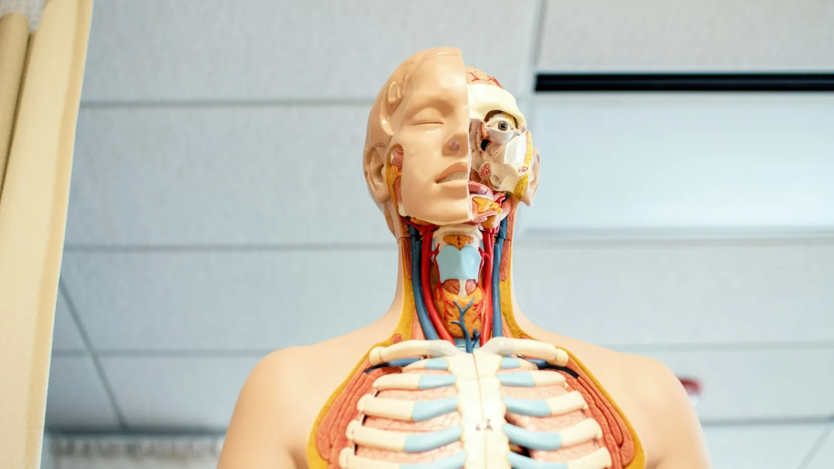 Thyroid Cancer Surgery