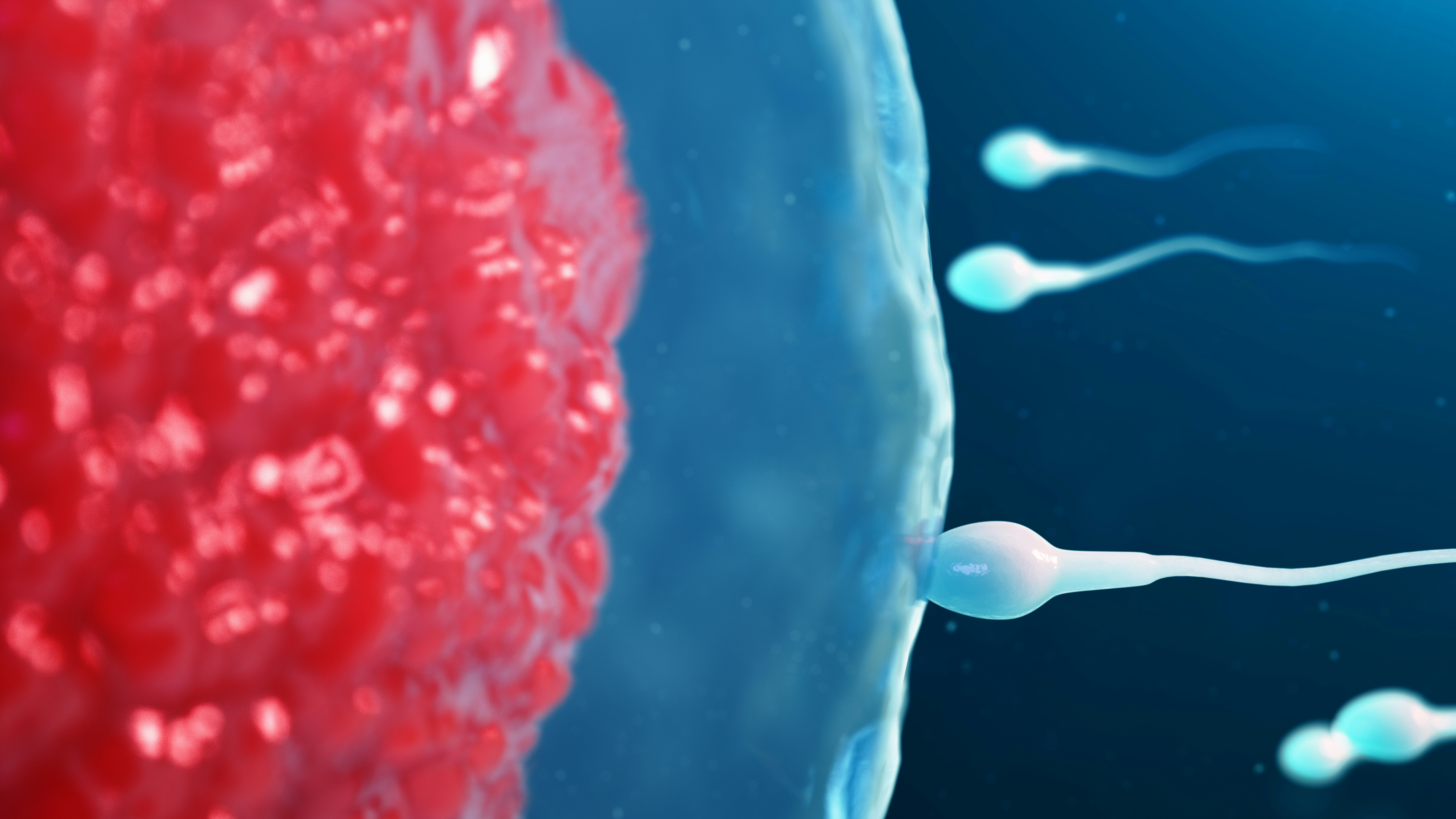 Oligospermia vs Azoospermia: understanding the key differences in male fert