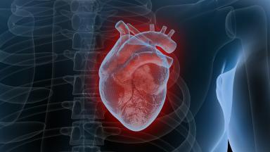 Aortic Valve Repair