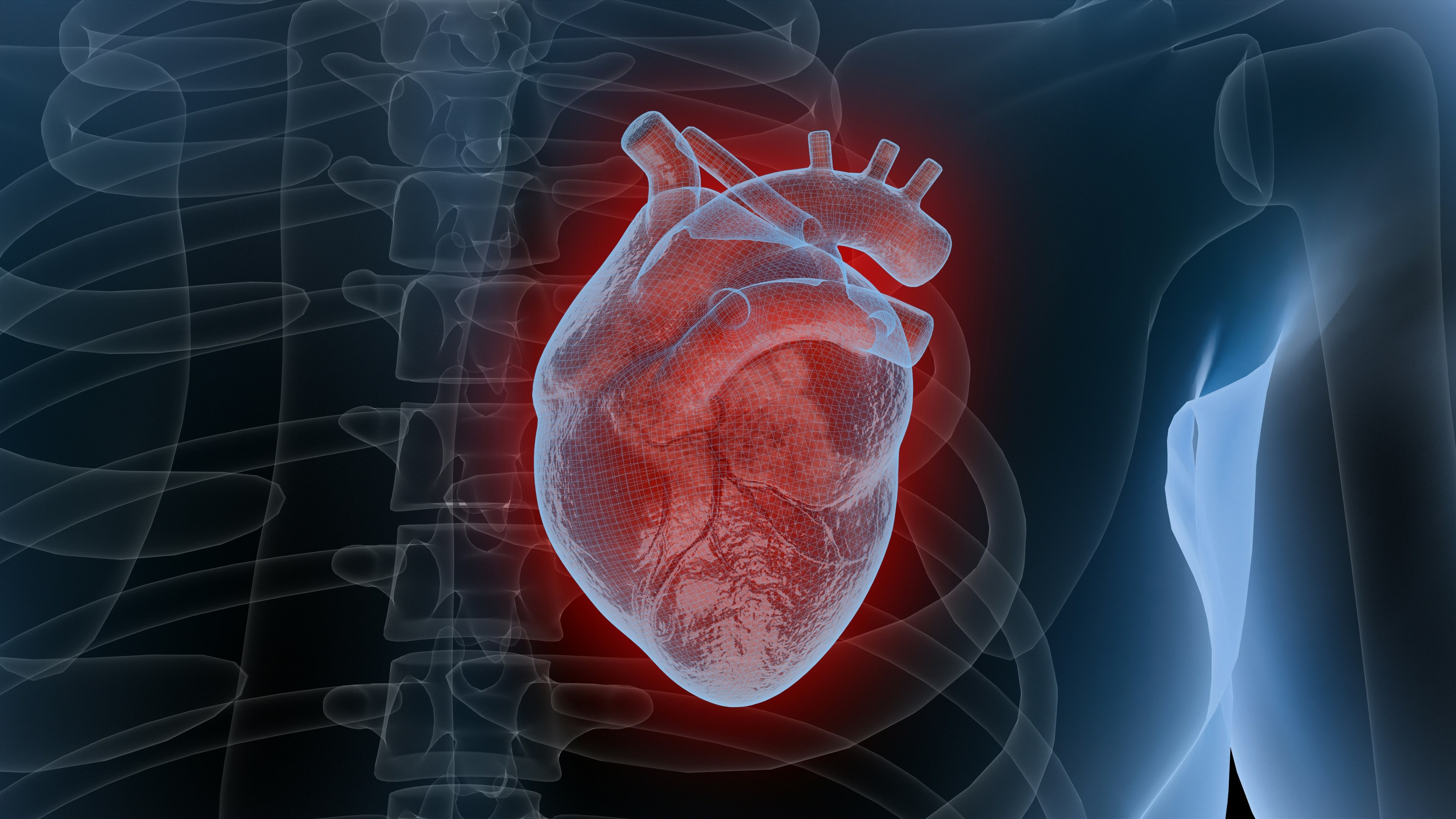Aortic Valve Repair