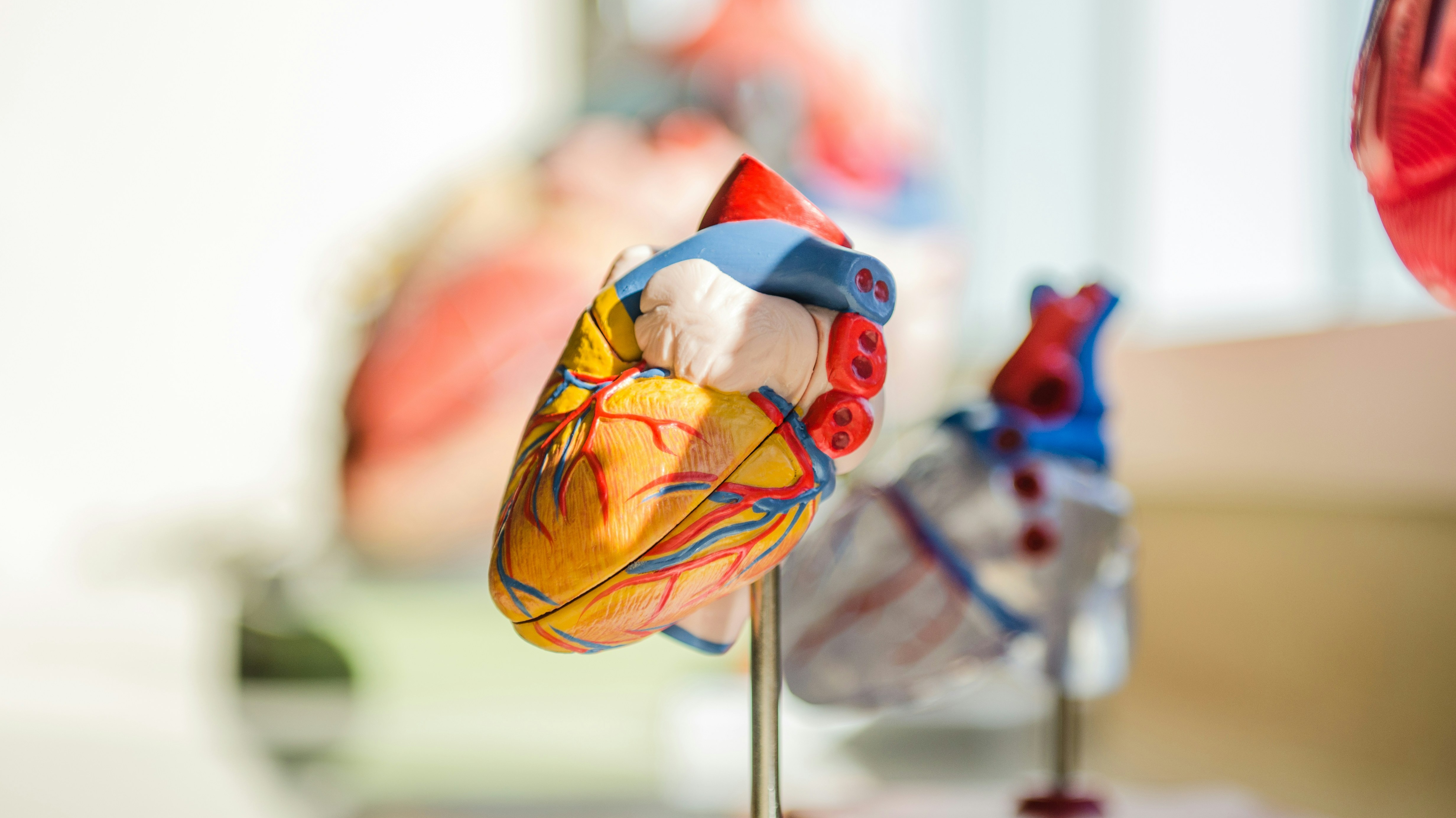 Tricuspid Valve Repair