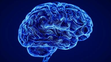 Brain AVM Surgery - Arteriovenous Malformation Surgery