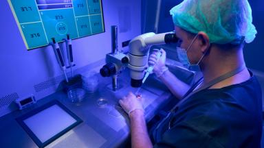 Allogeneic Bone Marrow Transplant