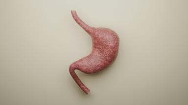Barrett's Esophagus Treatment