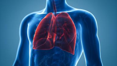 Pulmonary Metastasectomy - Lung Metastasis Surgery