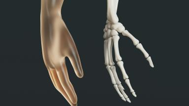 Bone Marrow Biopsy
