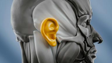 Mastoidectomy - Mastoid Bone Surgery