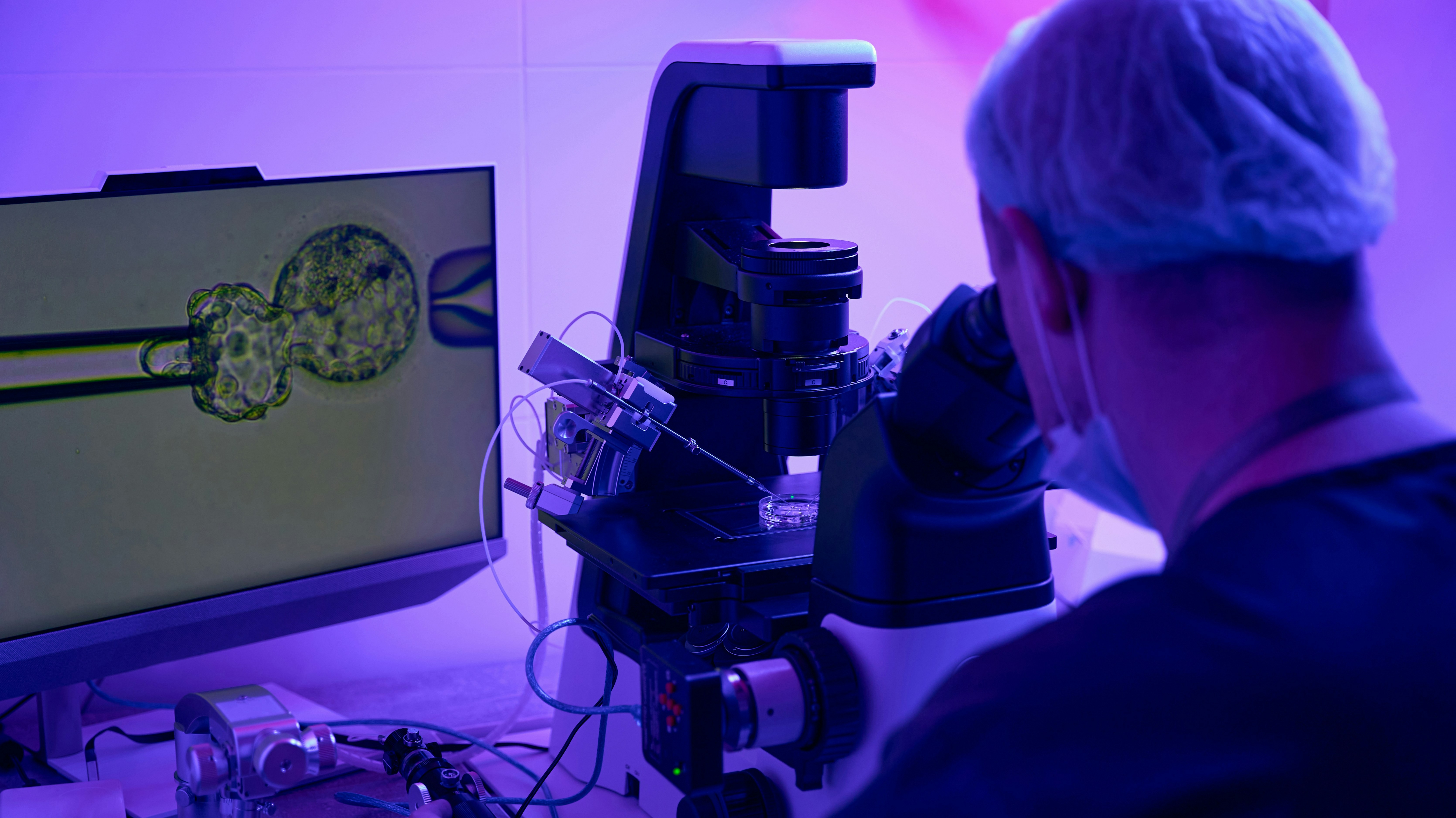 IVF & Reproductive Medicine Center