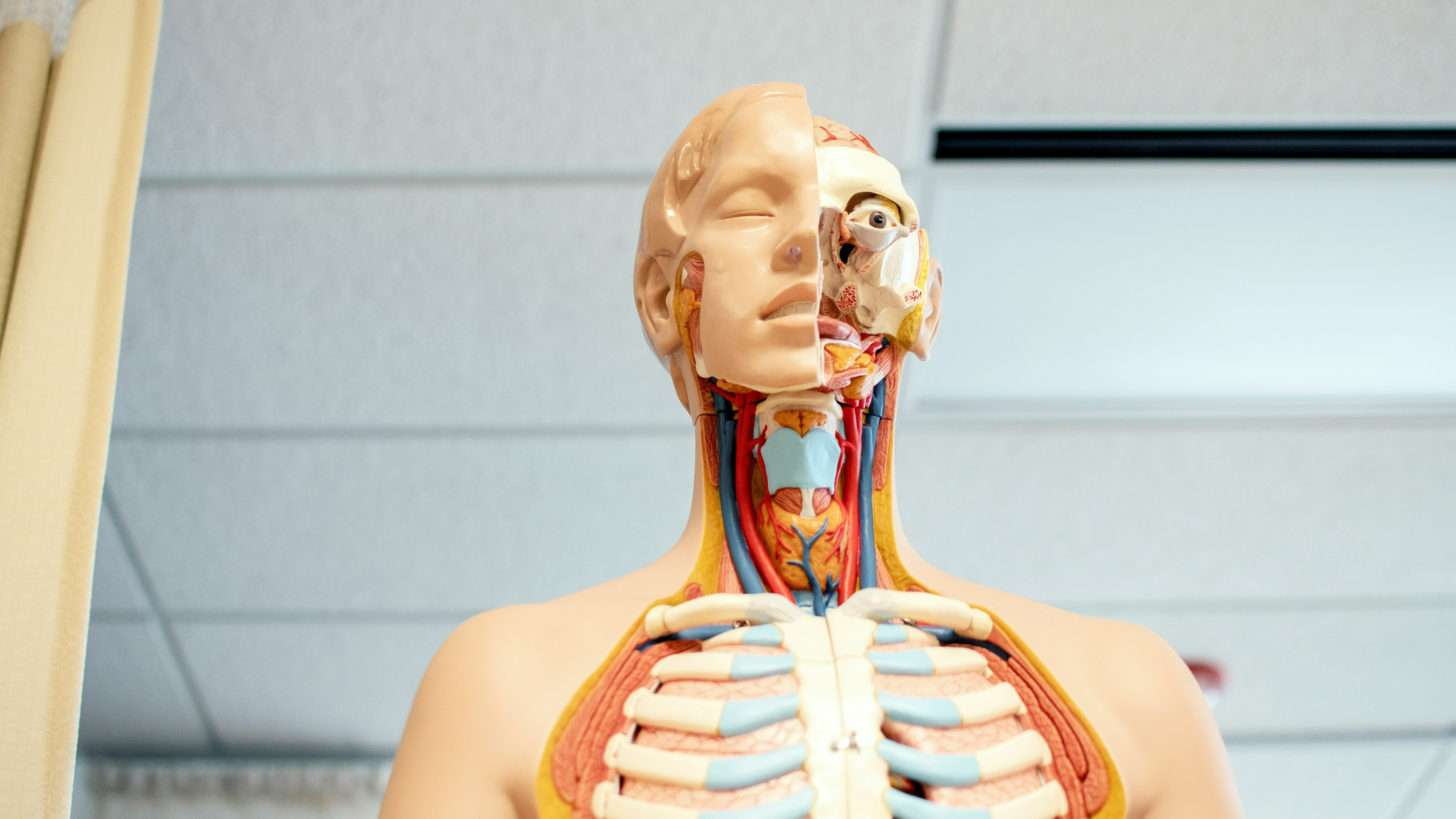 Thyroid Cancer Surgery