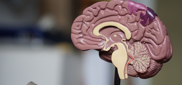 Neurosurgery Center