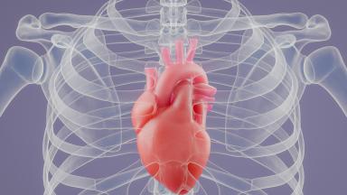 Heart Valve Surgery