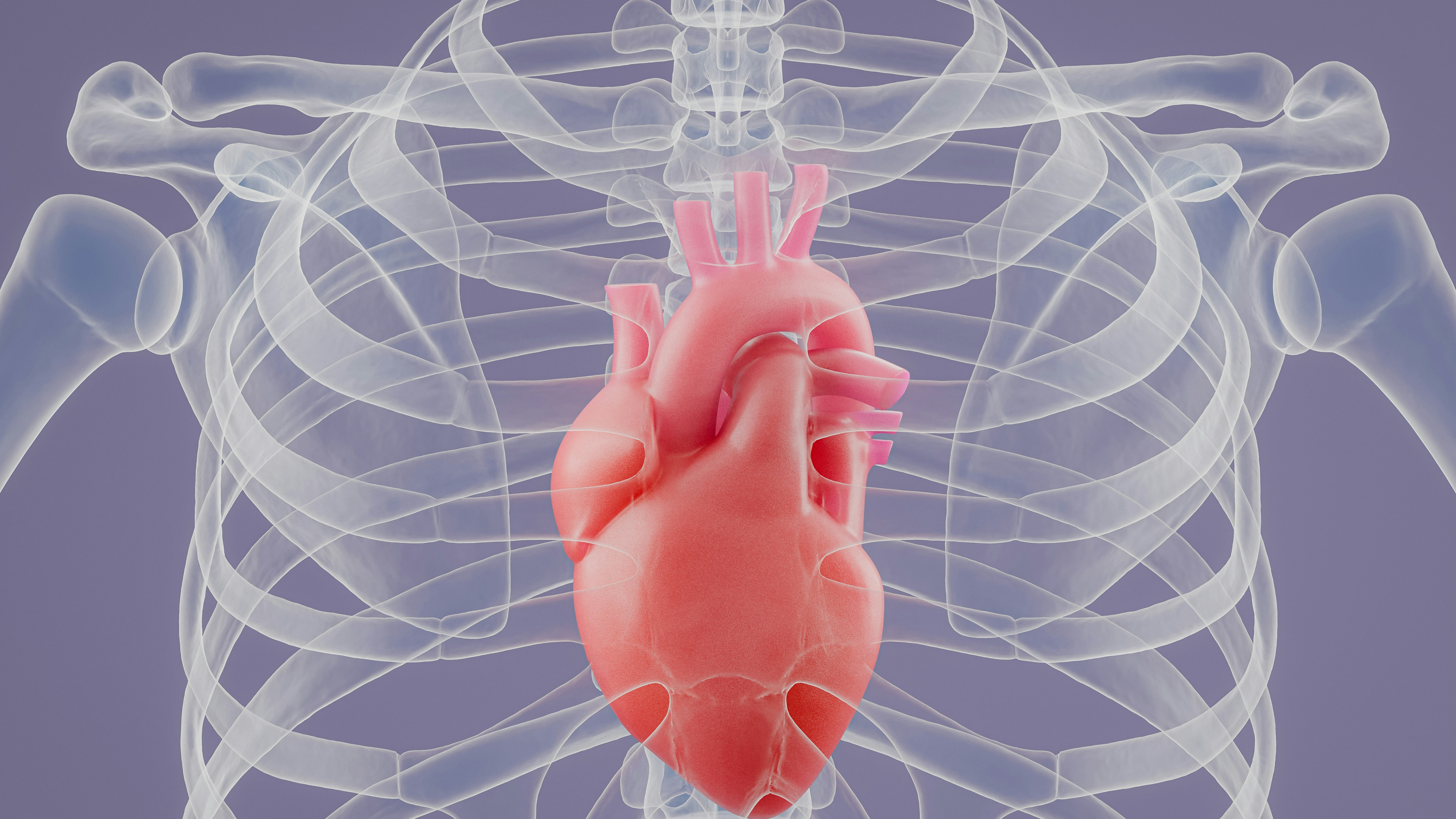Heart Valve Surgery