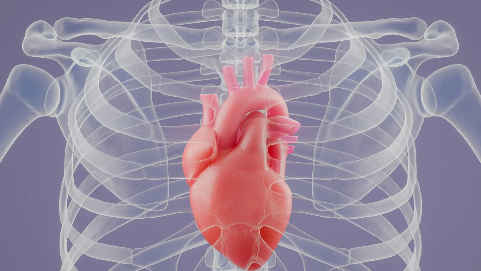 Heart Valve Surgery