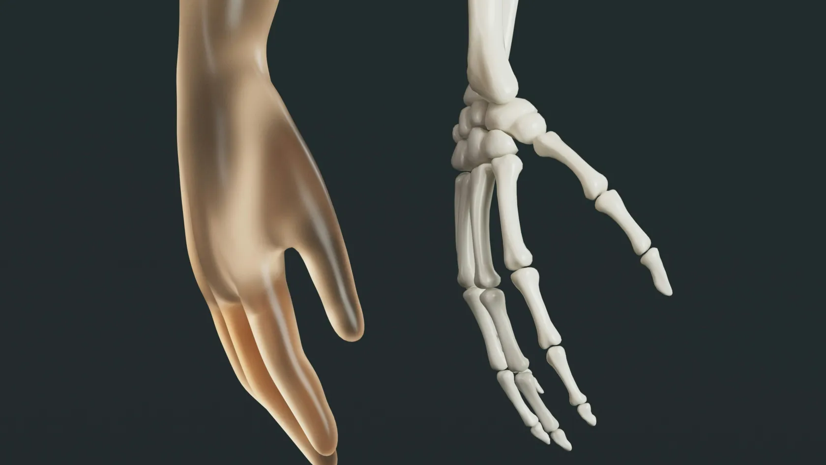 Bone Marrow Biopsy