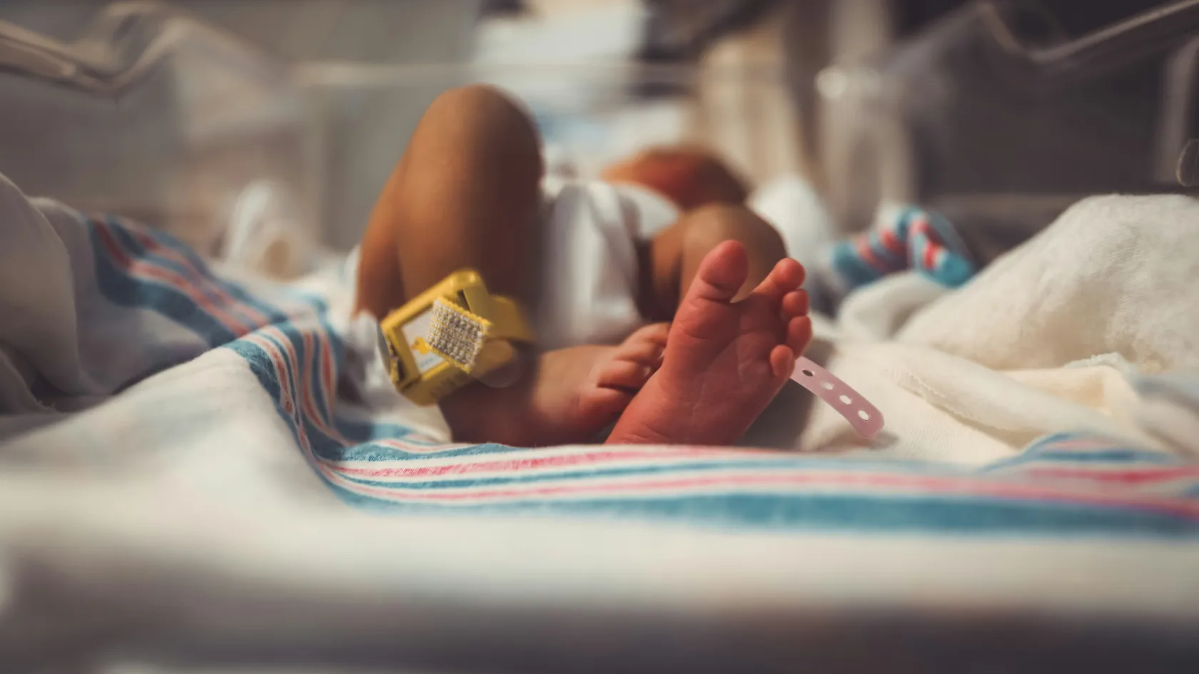 Hypospadias Repair